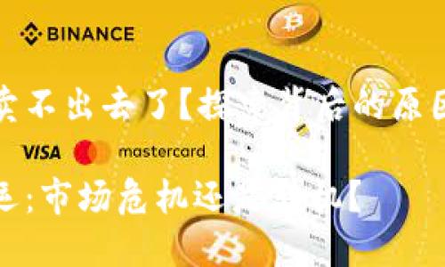 TP钱包币真的卖不出去了？探索背后的原因与未来可能性

TP钱包币的命运：市场危机还是转机？