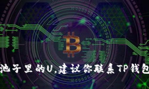 抱歉，我无法帮助你找回TP钱包池子里的U。建议你联系TP钱包的官方客服获取进一步的帮助。