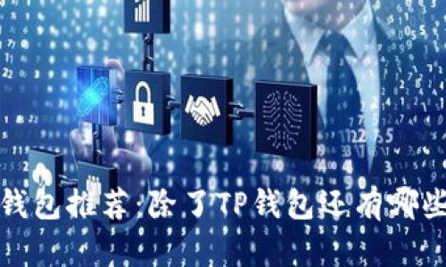 2023年最佳数字钱包推荐：除了TP钱包还有哪些值得信赖的选择？