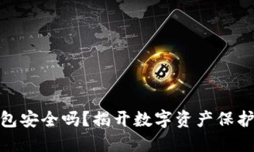 加密货币钱包安全吗？揭开数字资产保护的神秘面纱