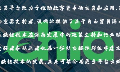 在海南区块链的快速发展中，许多网站和平台逐渐崭露头角，成为行业的重要组成部分。以下是一些值得关注的海南区块链相关网站：

1. **海南区块链产业园官网**：这一网站专注于海南区块链产业的整体发展，提供有关政策、项目孵化、行业动态等信息。

2. **海南数字货币交易平台**：一些地方性的交易平台致力于推动数字货币的交易和应用，虽然可能不如一些大平台知名，但也在逐渐发展。

3. **海南自由贸易港官网**：作为海南区块链的重要支持者，该网站提供了关于自由贸易港内区块链政策、项目及发展的信息。

4. **海南科技厅网站**：这一网站发布了有关区块链技术在海南发展中的政策支持和行业动态。

5. **区块链社区与论坛**：海南本地的区块链爱好者和从业者也在一些社交媒体群组中建立了社区，分享最新资讯和项目动态。

以上是一些海南区块链相关网站的示例，随着区块链技术的发展，未来可能会有更多平台出现，具体可以根据需求进行进一步的搜索和了解。