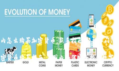 国内怎么购买加密货币：新手指南，轻松入门！

加密货币购买指南：在国内如何安全投资数字货币