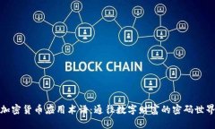 加密货币应用术语：通往