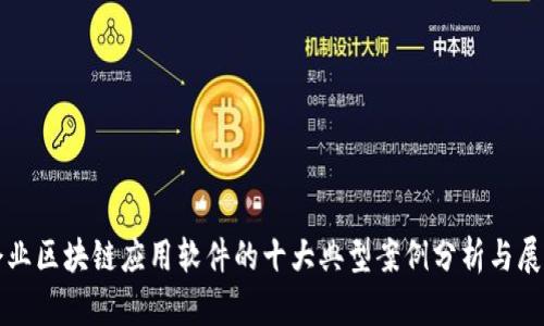 企业区块链应用软件的十大典型案例分析与展望