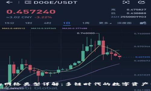 TP钱包的网络类型详解：多链时代的数字资产管理利器