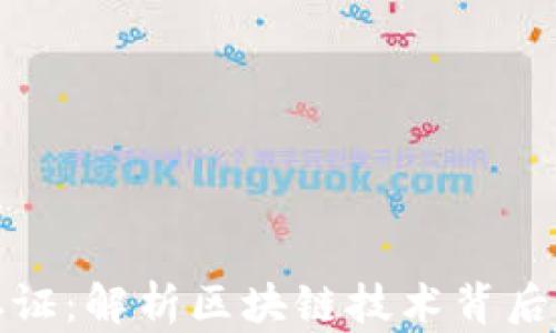 
加密货币溯源取证：解析区块链技术背后的透明性与挑战