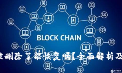  TP钱包被删除了能恢复吗？全面解析及解决方案