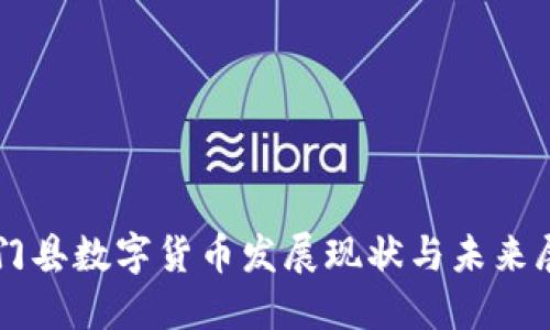 石门县数字货币发展现状与未来展望