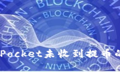 如何解决TokenPocket未收到提币的问题：详细指南