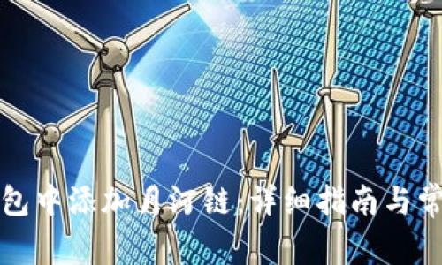 如何在TP钱包中添加月河链：详细指南与常见问题解答